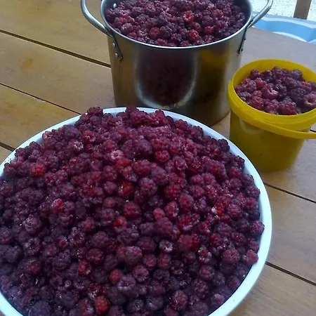 Judita Dovolenkový dom Moravany nad Vahom