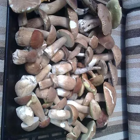 Casa de Férias Judita