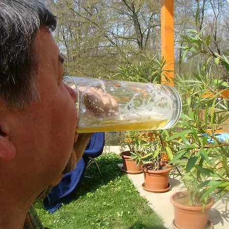 Judita Casa de Férias Moravany nad Váhom