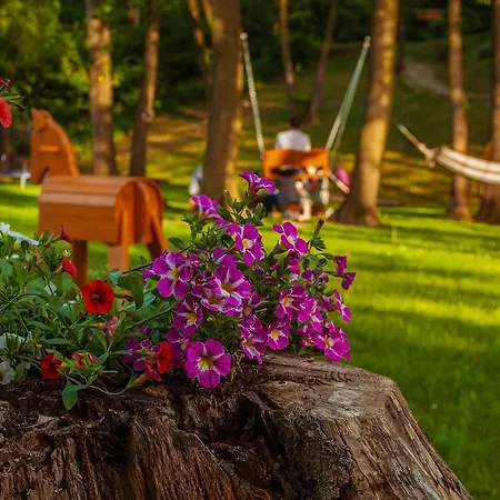 Dovolenkový dom Judita *