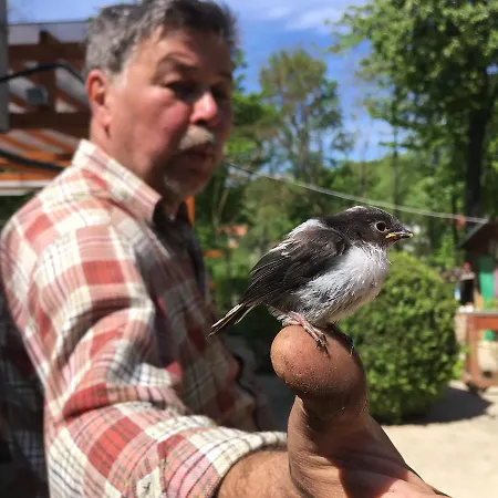 Judita * Moravany nad Váhom