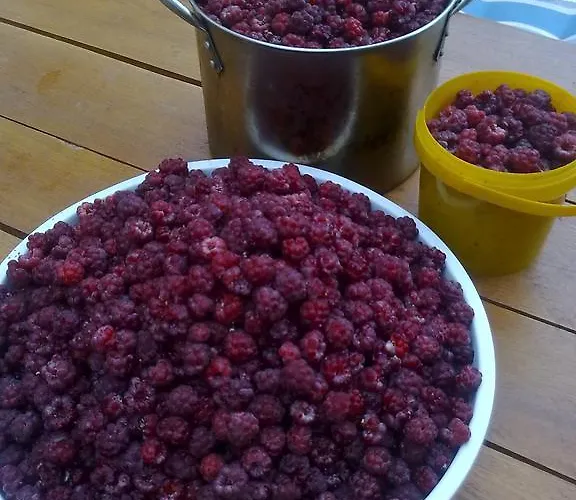 Judita Vakantiehuis Moravany nad Váhom