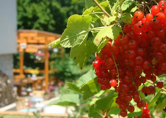 Vakantiehuis Judita *