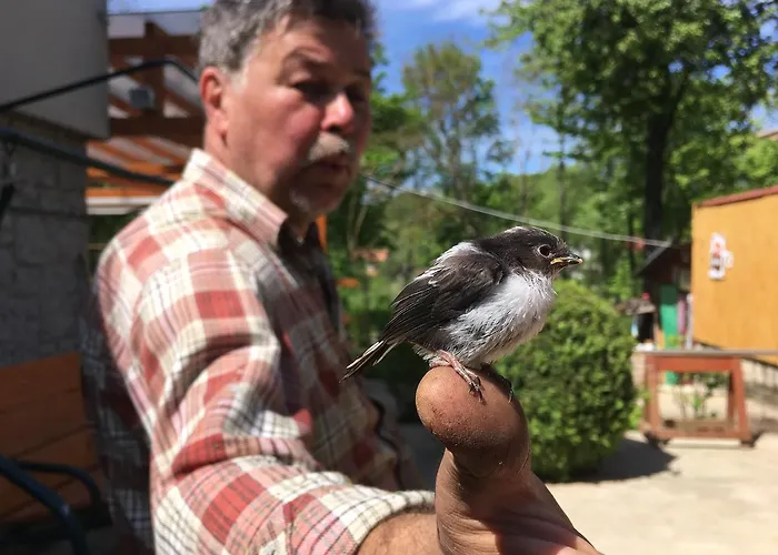 由迪塔别墅度假屋 * Moravany nad Váhom